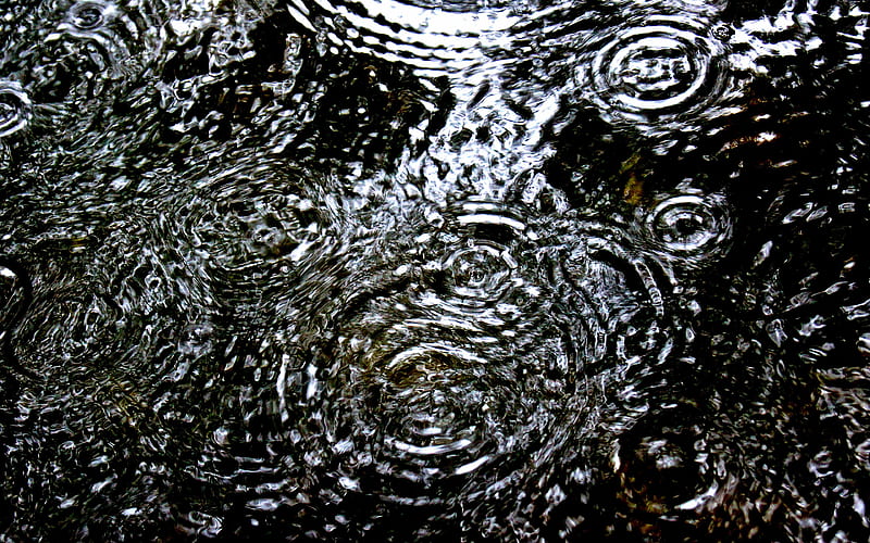 raindrops on puddle, rain, water drops, water textures, water, HD wallpaper