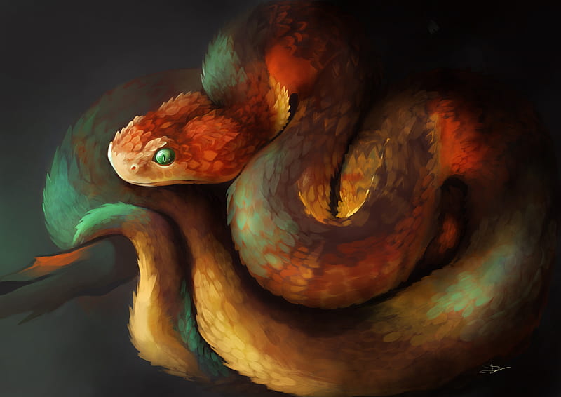 Snake, reptile, art, brown, scales, HD wallpaper | Peakpx