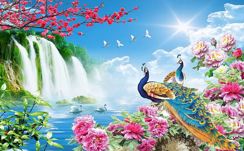 Peacocks, art, luminos, pasare, peacock, fantasy, water, bird, paun, summer, waterfall, flower, pink, blue, HD wallpaper