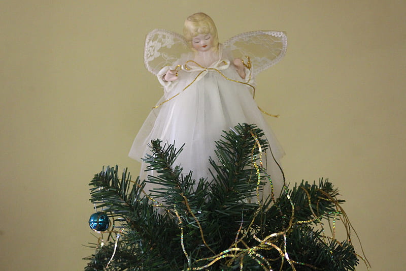 Christmas Angel, memories, Christmas, tree, graphy, angel, angel sister, HD wallpaper