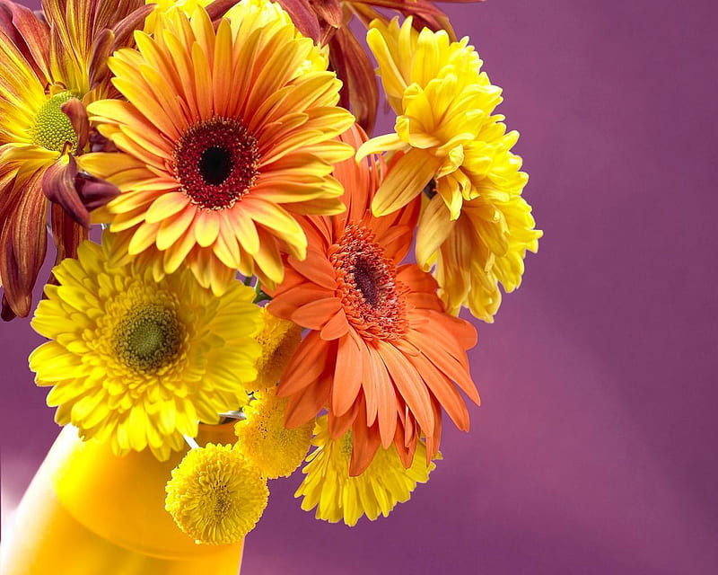 Bunch of Flowers, orange, colors, yellow, bunch, bright, flowers, nature, petals, multi, HD wallpaper