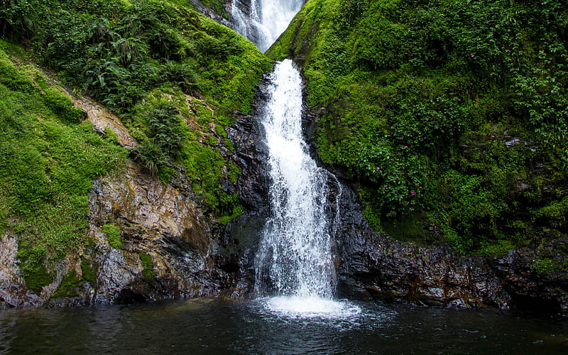 Waterfall Stream Forest 2020 Landscape R graphy, HD wallpaper