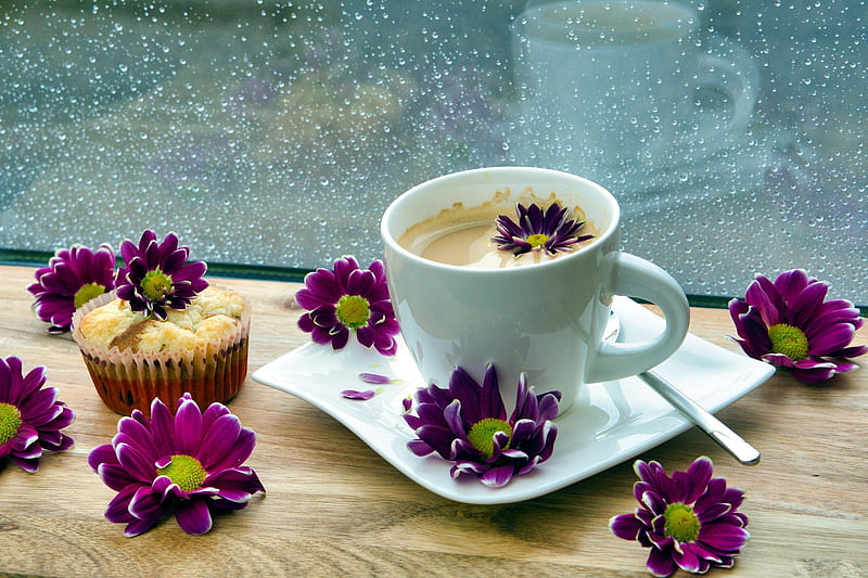 Food, Coffee, Chrysanthemum, Cup, Drink, Flower, HD wallpaper