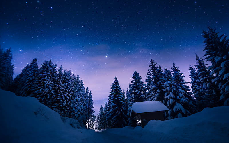 Beautiful Forest, frost, nature, winter, snow, star, night, house, dark, snowy, HD wallpaper