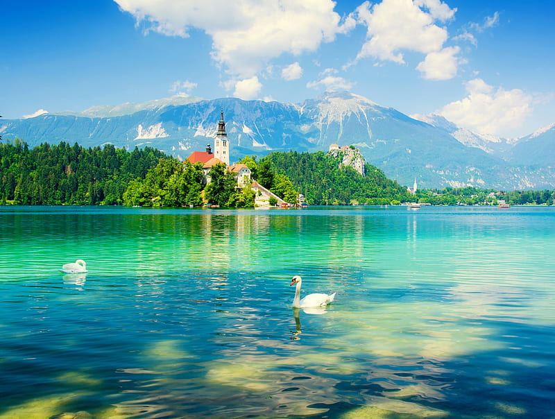 View of lake Bled-Slovenia, Bled, view, bonito, sky, lake, Slovenia, swans, mountain, water, island, reflection, castle, HD wallpaper