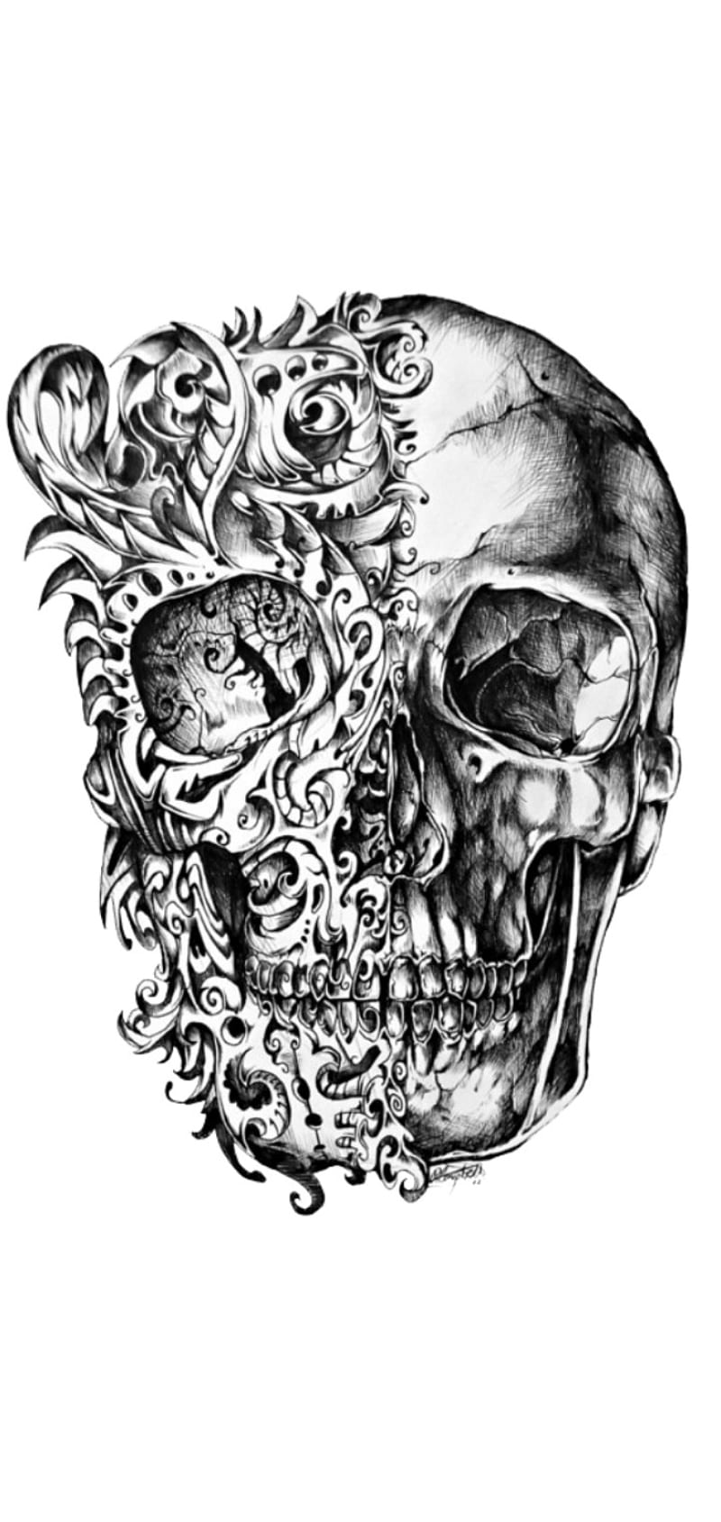 Skull , advisory, parental, phoenix, roses, skulls, snake, water, white, HD phone wallpaper