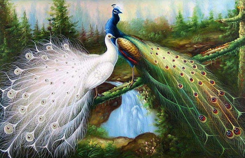 BEAUTIFUL PEACOCKS, forest, colorful, birds, bonito, peacocks, painting, waterfall, white, feathers, HD wallpaper
