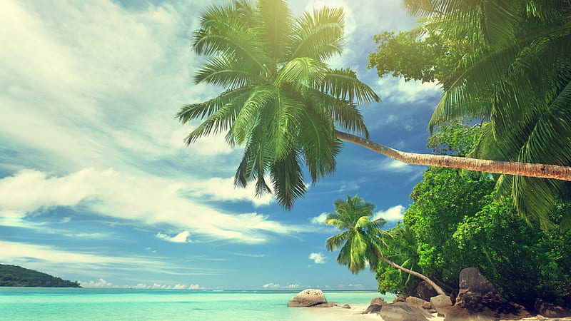 Tropical Beach, Sea, Trees, Sky, Travel, Beach, Hd Wallpaper 