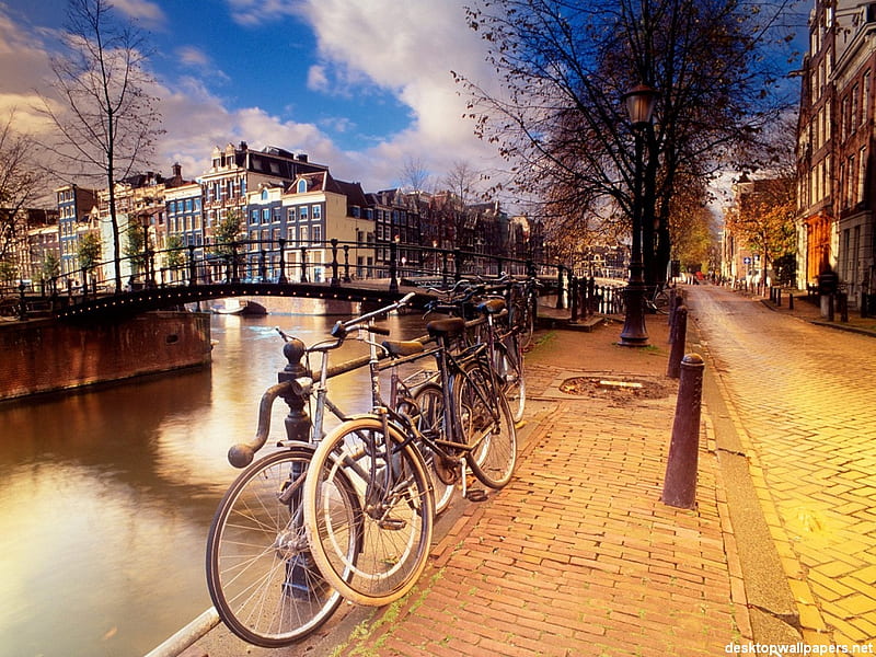 Beautiful scene, amsterdam, canal, buildings, post, bikes, trees, sky, water, reflections, bicycles, road, HD wallpaper