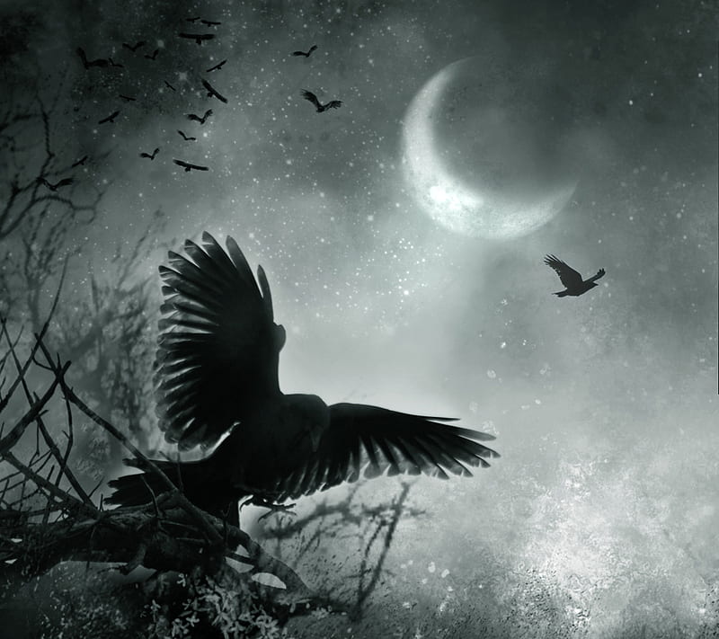 Flying Away, air, bird, birds, black, dark, fly moon, night, tree, HD wallpaper