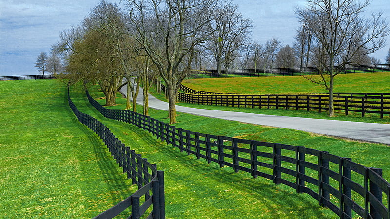 Farm fence., farm, fence, nature, field, landscape, HD wallpaper | Peakpx