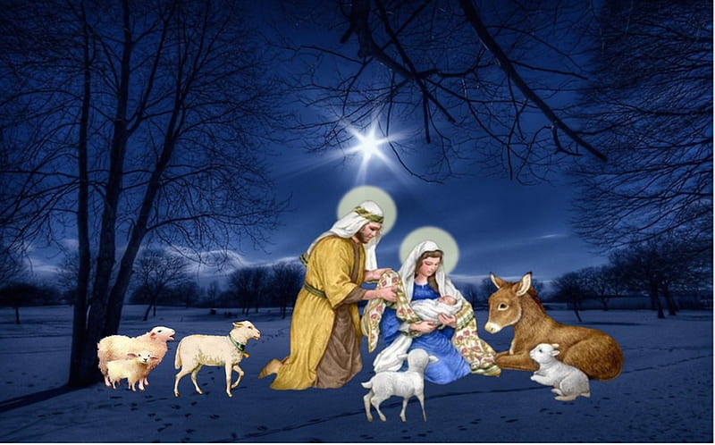 Xmas night, nativity, christ, sheep, jesus, joseph, christmas, virgin, mary, HD wallpaper