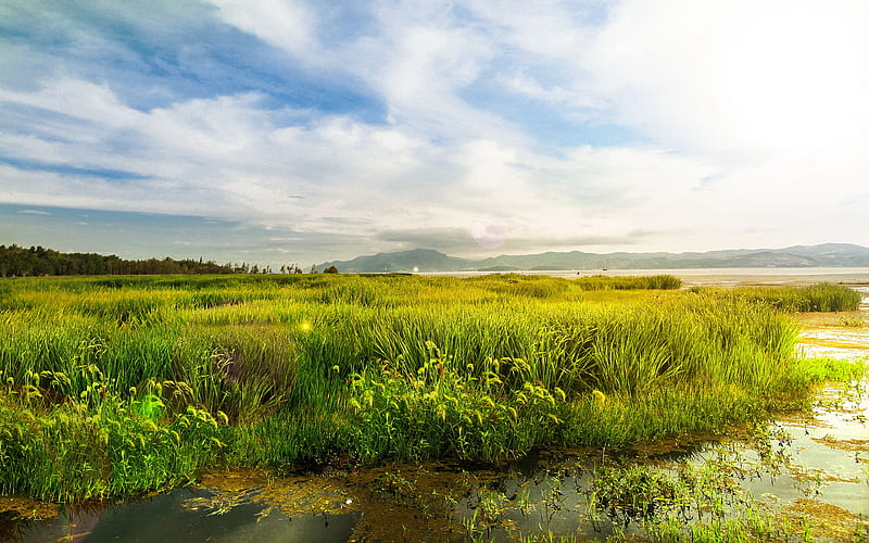 Shennongjia Lake Grassland River 2019 Scenery, HD wallpaper