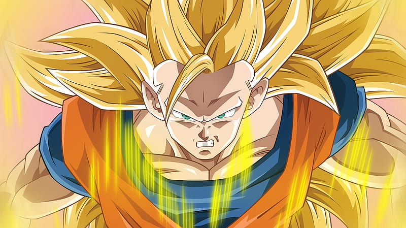 DBZ - Super Saiyan 3 Goku, TV, Anime, Super Saiyan, DBZ, TV Series, series,  Characters, HD wallpaper | Peakpx