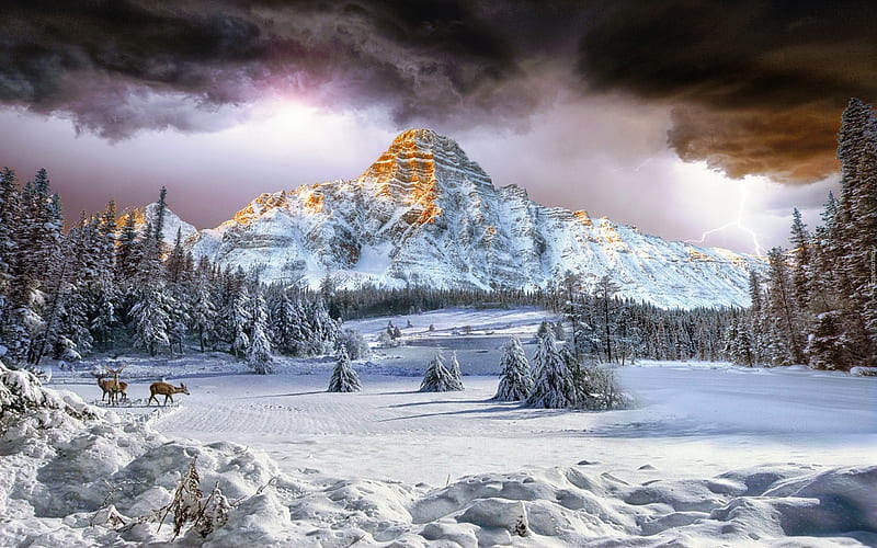 Winter mountain, snow, peak, bonito, trees, winter, rocks, forest, clouds, sky, deesr, mointain, HD wallpaper