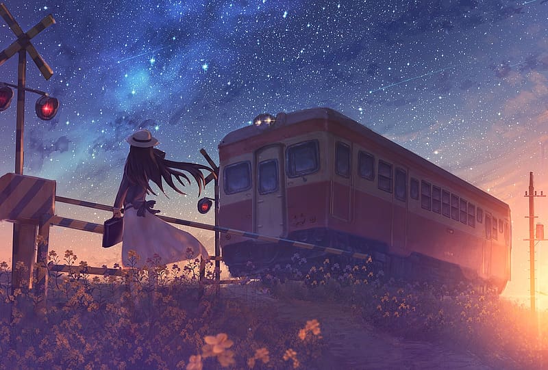 Anime, Sunset, Starry Sky, Train, Shooting Star, HD wallpaper