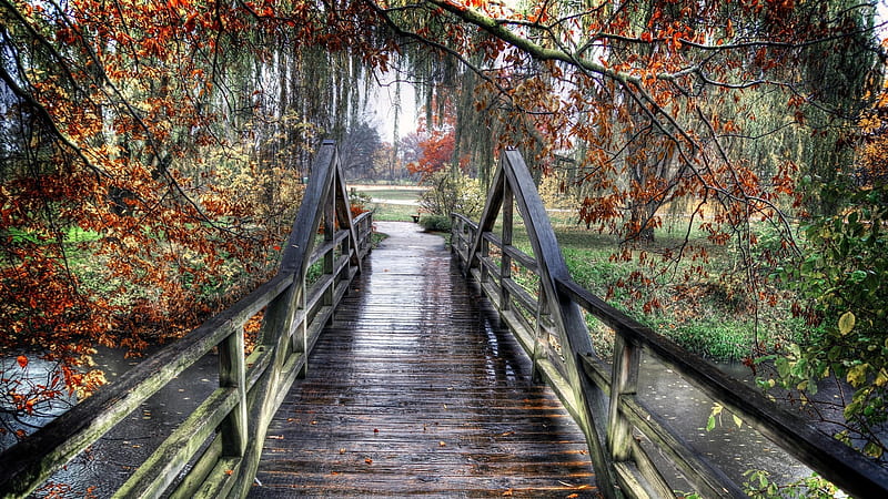 Rainy Day, autumn, walkway, bridge, wood, HD wallpaper