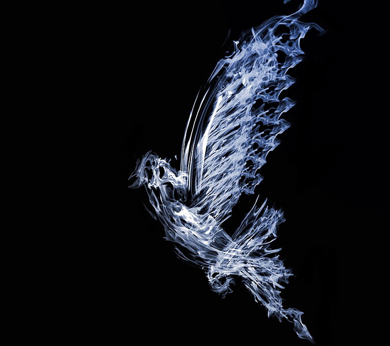 Water Bird, HD wallpaper | Peakpx