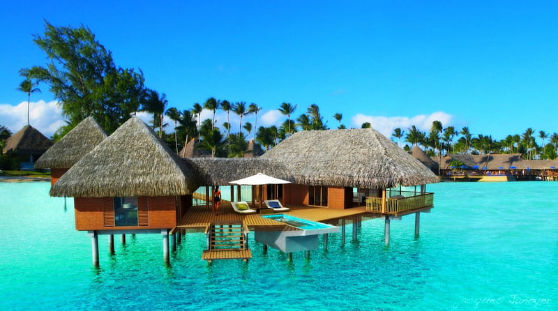 Bungalow On Crystal Clear Lagoon, resort, turquoise water, bonito, palm trees, sea, beach, French Polynesia, paradise, summer, island, tropical, HD wallpaper