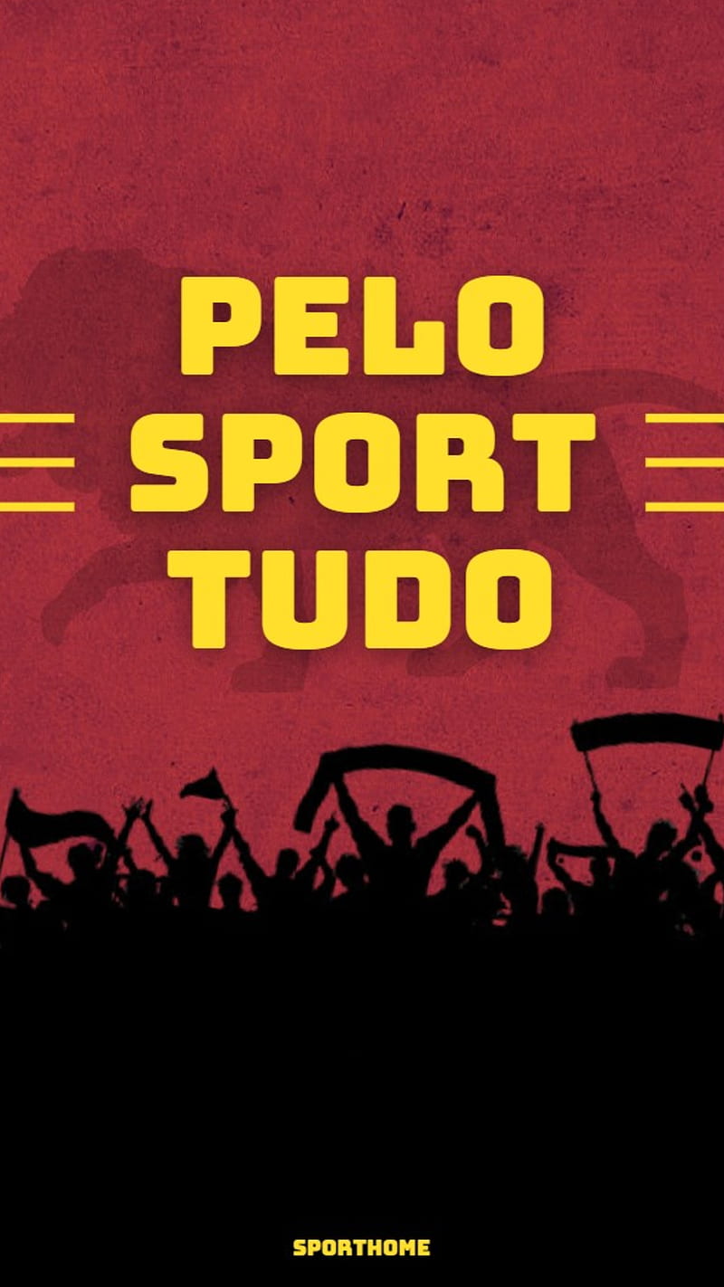 Sporthome, torcida, pernambuco, sport, recife, HD phone wallpaper