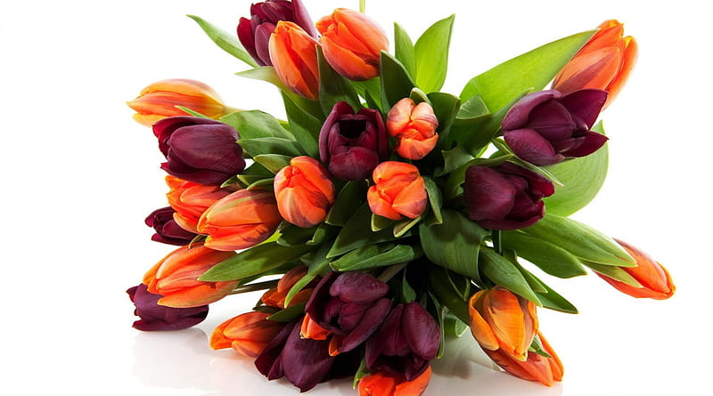 Ramo de tulipanes, morado, naranja, flores, bonito, primavera, tulipanes,  floral, Fondo de pantalla HD | Peakpx