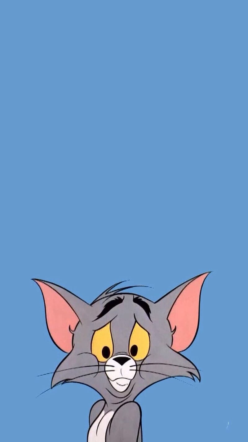 Tom And Jerry Cartoon, Tom Confused Face, animated, HD phone wallpaper