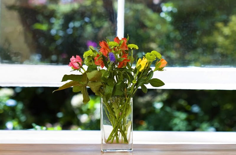 *Βeauty at the window*, arrangements, window, view, decoration, interior, vase, roses, decor, flowers, lilium, HD wallpaper