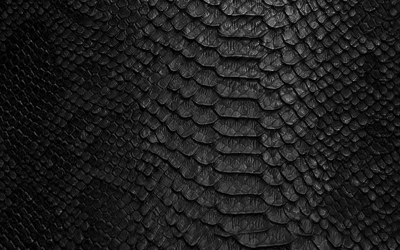 black snake leather texture, snake skin background, cobra texture, black creative background, snake, HD wallpaper