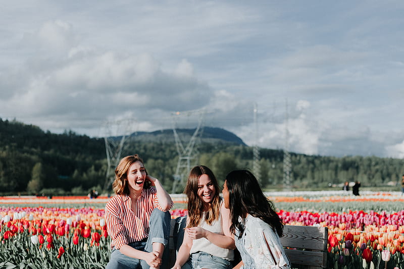 3 women sitting on bench near the flowers, HD wallpaper
