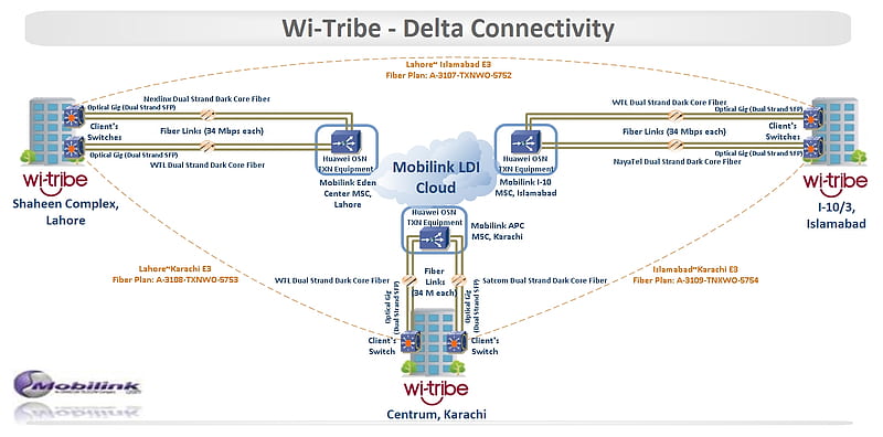 Wi-Tribe Data Connectivity, wi-tribe, data, connectivity, schemetic, HD wallpaper