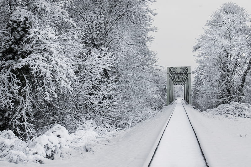 railway, snow, bridge, trees, winter, HD wallpaper