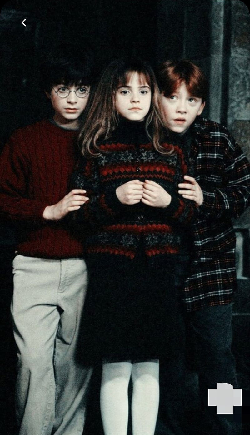 Harry Potter trio wallpaper by Annesthesia - Download on ZEDGE™ | eea3