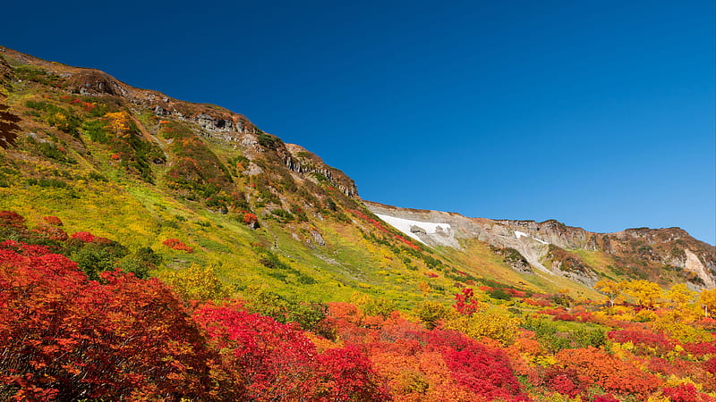 Colorful Autumn Trees Piedmont Mountains Under Blue Sky Autumn, HD wallpaper