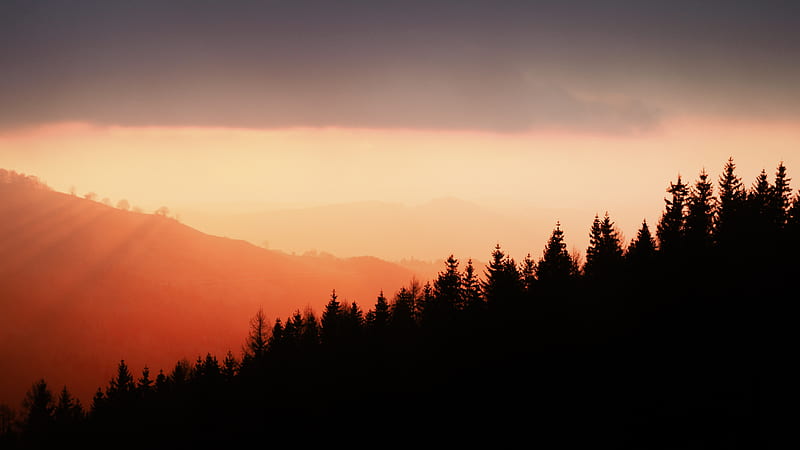 trees, silhouettes, fog, sunset, sky, slope, HD wallpaper
