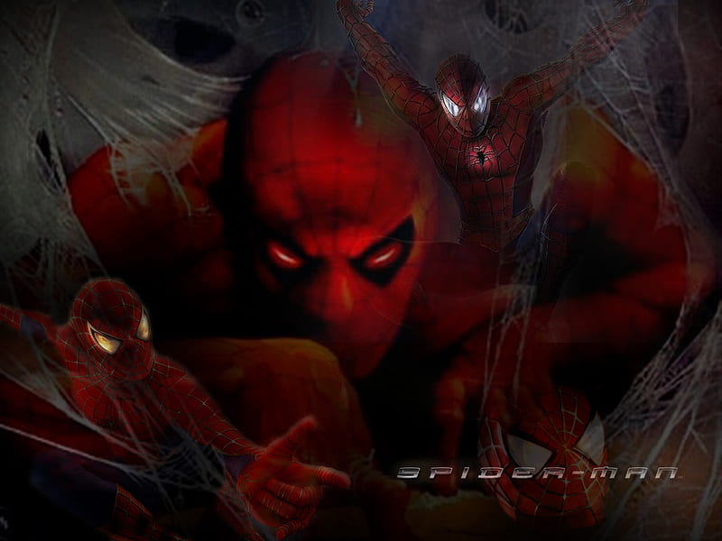 Spidy coming at you!, spiderman, hero, comic, web, HD wallpaper