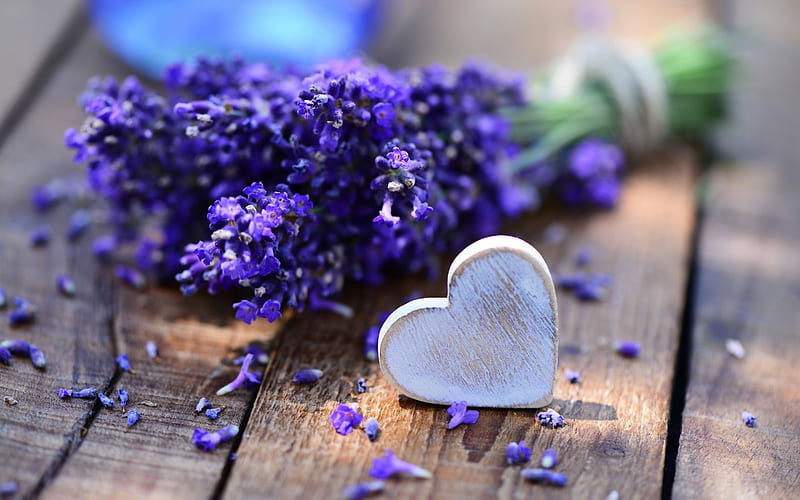 Lavender, spring, wooden heart, spring flowers, HD wallpaper
