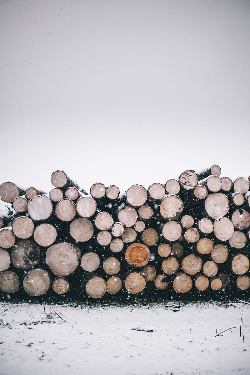 pile of wood logs, HD phone wallpaper