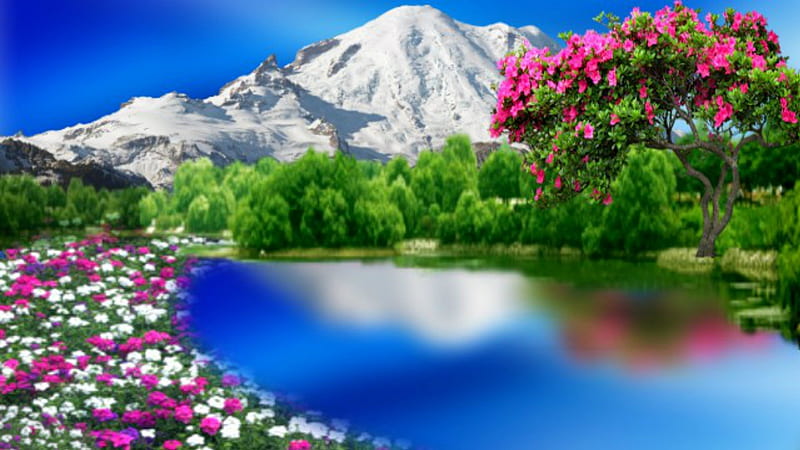 ~*~ Lake In Flowery Field ~*~, Lake, Flowery, montain, field, HD wallpaper