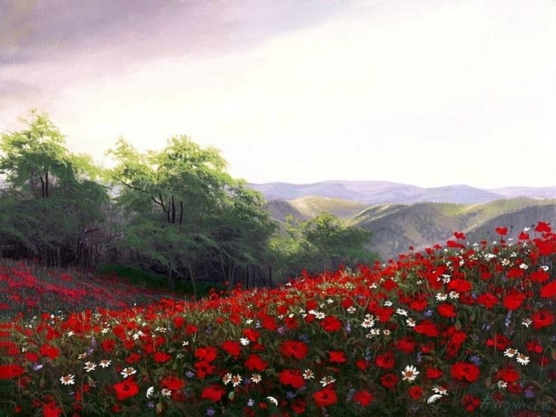 Flower Hill, daisies, red, poppies, painting, flowers, blossoms, artwork, HD wallpaper