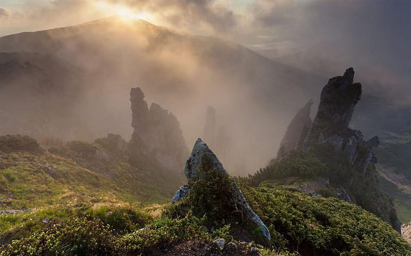 Morning in the mountains, Karpaty, graphy, Ukrainian Karpaty, mountains, nature, Ukraine, HD wallpaper