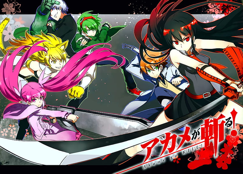 Akame ga Kill!, leone, lubbock, najenda, assassin, akame ga kill, mine, akame, anime, tatsumi, night raid, HD wallpaper