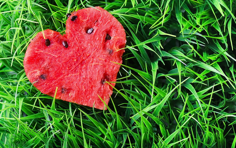 Summer's heart, fruit, red, vara, green, grass, watermelon, heart, summer, HD wallpaper
