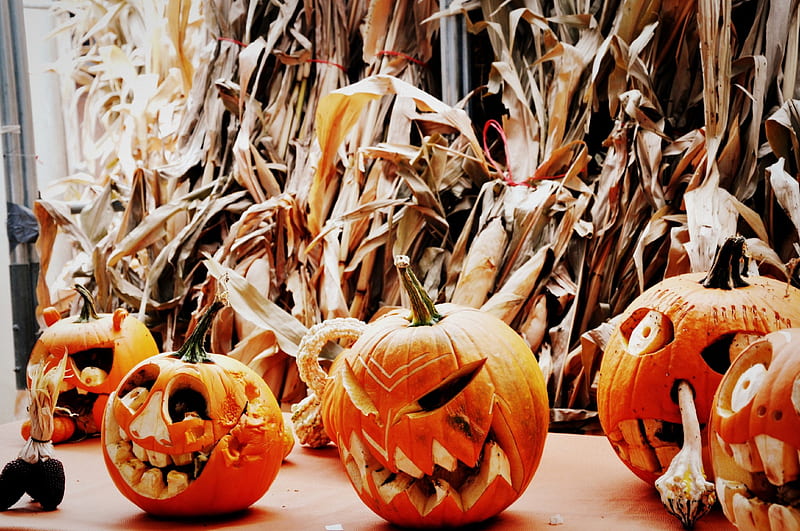 Pumpkins with Opinions, faces, fall season, halloween, characters, artwork, HD wallpaper