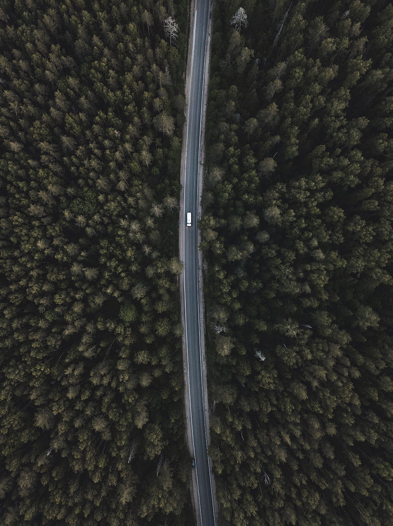 road, forest, aerial view, trees, tops, HD phone wallpaper