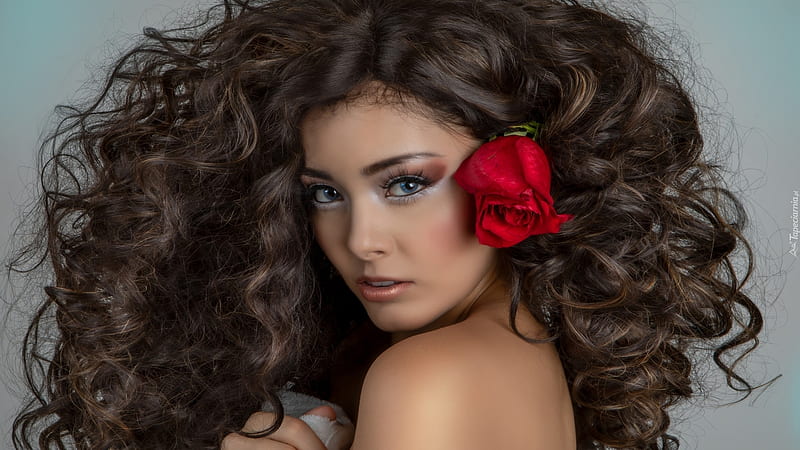 red rose in hair, flowers, hair, mdels, fashion, red, HD wallpaper