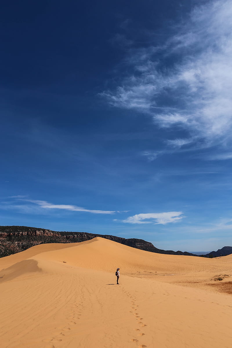 desert, people, sand, tourist, journey, HD phone wallpaper