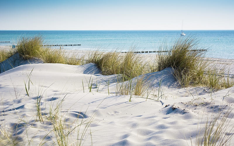 Beach in Winter, snow, dunes, sea, beach, grass, winter, HD wallpaper