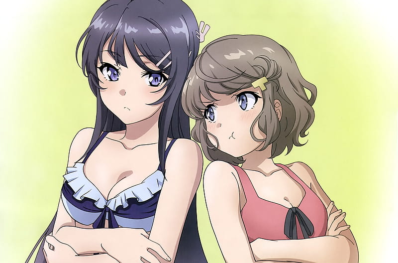 Anime, Seishun Buta Yarou wa Bunny Girl Senpai no Yume wo Minai, Bikini,  Mai Sakurajima, HD wallpaper | Peakpx