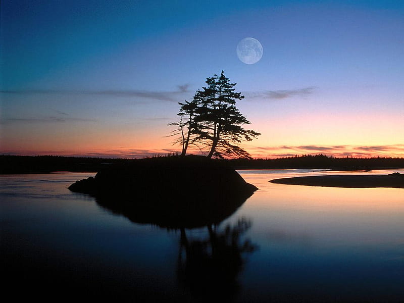 Dark Moon And Moon Rising Over Tree In A River Background, Cool