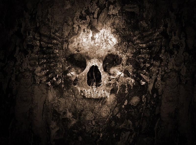 death skull, gris, hollow, eyesockets, grimm, HD wallpaper